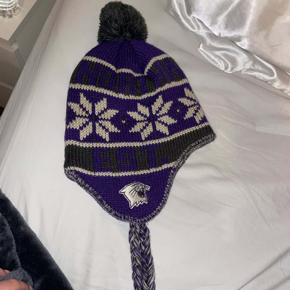 Adidas Northwestern Hat